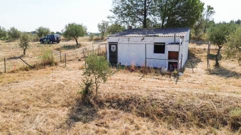 Terreno Rústico  Venda em Ladoeiro,Idanha-a-Nova