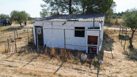 Terreno Rústico  Venda em Ladoeiro,Idanha-a-Nova