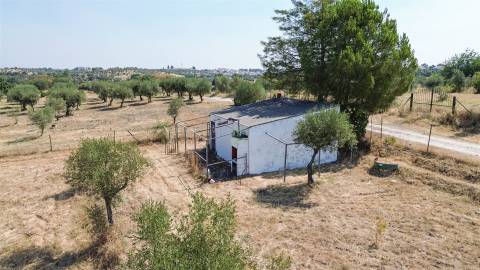 Terreno Rústico  Venda em Ladoeiro,Idanha-a-Nova