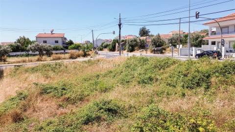 Terreno Para Construção  Venda em Castelo Branco,Castelo Branco