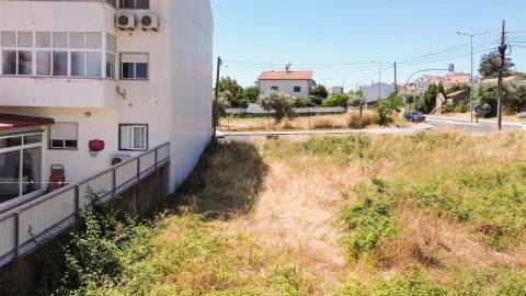 Terreno Para Construção  Venda em Castelo Branco,Castelo Branco