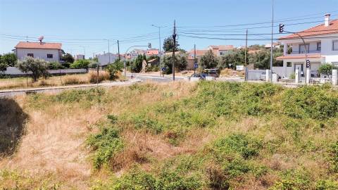 Terreno Para Construção  Venda em Castelo Branco,Castelo Branco