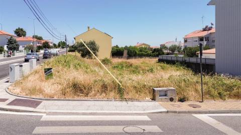 Terreno Para Construção  Venda em Castelo Branco,Castelo Branco