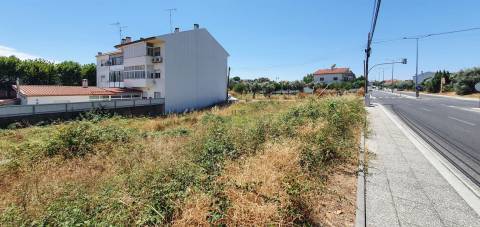 Terreno Para Construção  Venda em Castelo Branco,Castelo Branco