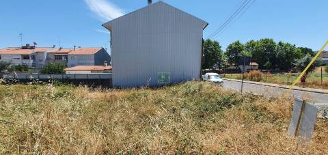 Terreno Para Construção  Venda em Castelo Branco,Castelo Branco