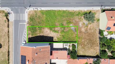 Terreno Para Construção  Venda em Castelo Branco,Castelo Branco