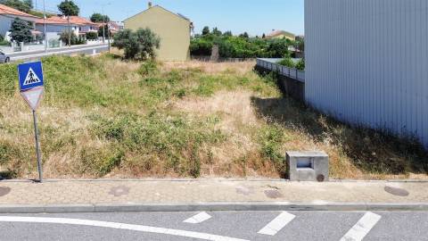 Terreno Para Construção  Venda em Castelo Branco,Castelo Branco