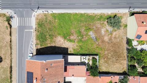 Terreno Para Construção  Venda em Castelo Branco,Castelo Branco