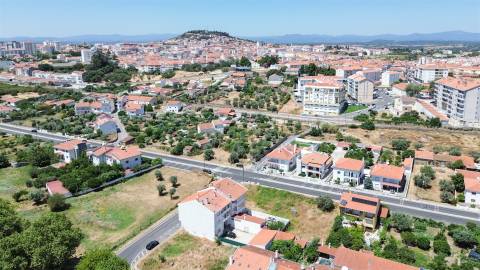 Terreno Para Construção  Venda em Castelo Branco,Castelo Branco