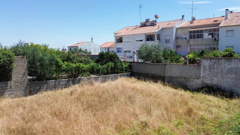 Terreno Para Construção  Venda em Castelo Branco,Castelo Branco