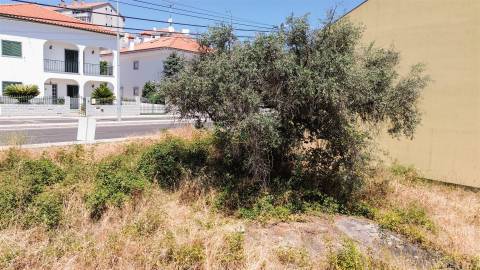 Terreno Para Construção  Venda em Castelo Branco,Castelo Branco