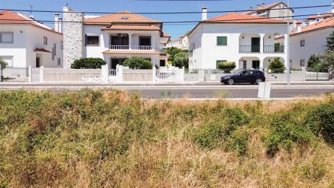 Terreno Para Construção  Venda em Castelo Branco,Castelo Branco