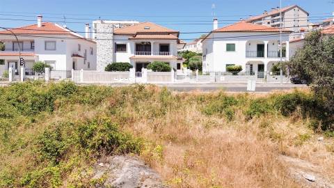 Terreno Para Construção  Venda em Castelo Branco,Castelo Branco