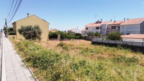 Terreno Para Construção  Venda em Castelo Branco,Castelo Branco