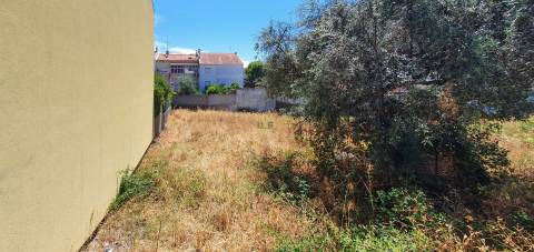 Terreno Para Construção  Venda em Castelo Branco,Castelo Branco