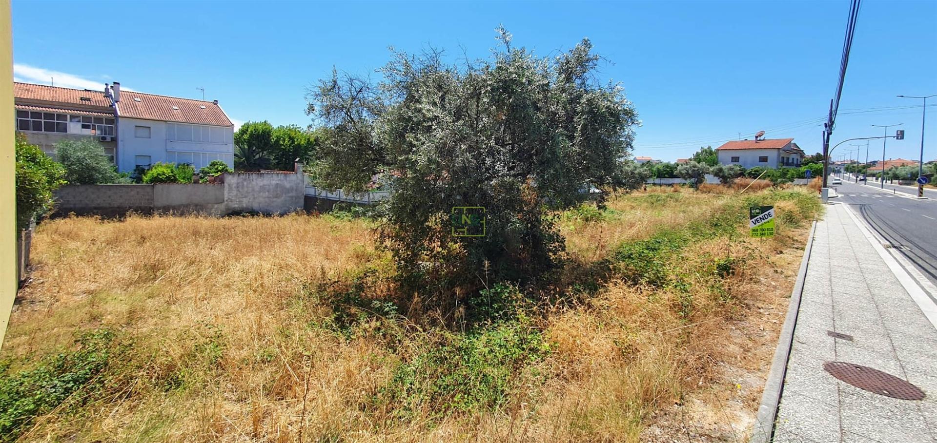 Terreno Para Construção  Venda em Castelo Branco,Castelo Branco