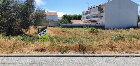 Terreno Para Construção  Venda em Castelo Branco,Castelo Branco
