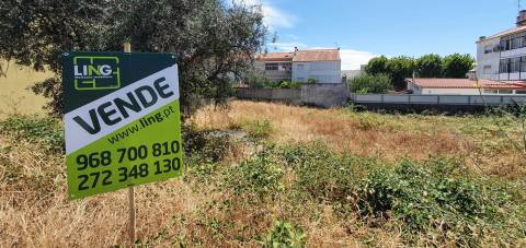 Terreno Para Construção  Venda em Castelo Branco,Castelo Branco