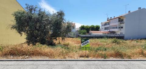 Terreno Para Construção  Venda em Castelo Branco,Castelo Branco