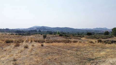 Terreno Rústico  Venda em Aranhas,Penamacor