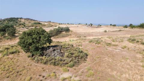 Terreno Rústico  Venda em Aranhas,Penamacor