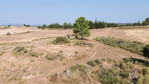 Terreno Rústico  Venda em Aranhas,Penamacor