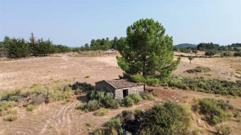 Terreno Rústico  Venda em Aranhas,Penamacor