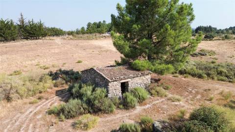 Terreno Rústico  Venda em Aranhas,Penamacor
