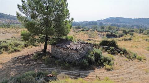 Terreno Rústico  Venda em Aranhas,Penamacor