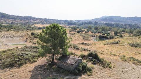 Terreno Rústico  Venda em Aranhas,Penamacor