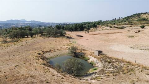 Terreno Rústico  Venda em Aranhas,Penamacor