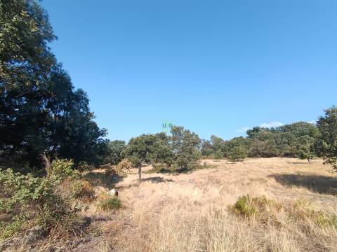 Terreno rústico em penamacor.