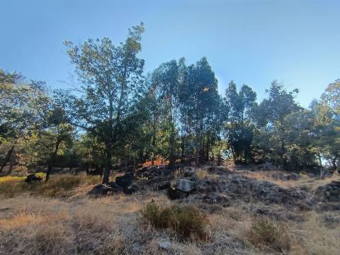 Terreno rústico em penamacor.