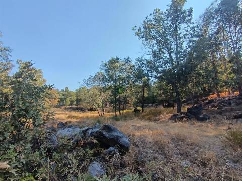 Terreno rústico em penamacor.