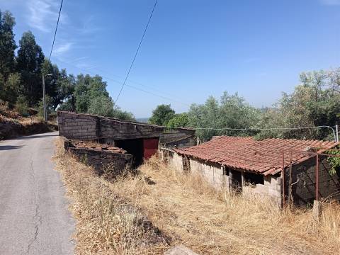 Terreno rústico nas Aranhas