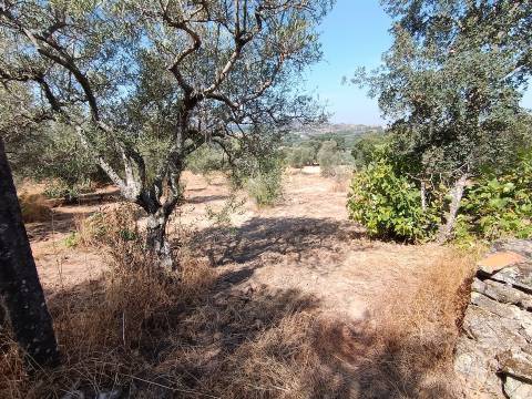 Terreno rústico nas Aranhas