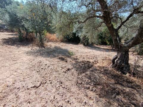 Terreno rústico nas Aranhas