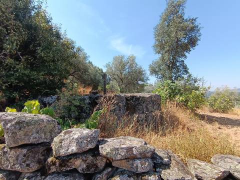 Terreno rústico nas Aranhas