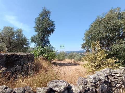 Terreno rústico nas Aranhas