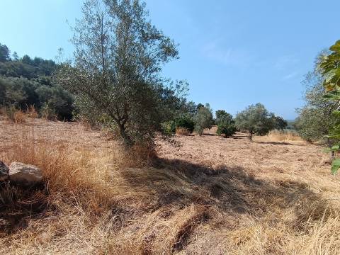 Terreno rústico nas Aranhas