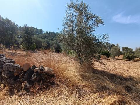 Terreno rústico nas Aranhas