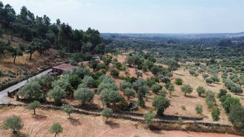 Terreno rústico nas Aranhas