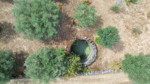 Terreno rústico nas Aranhas