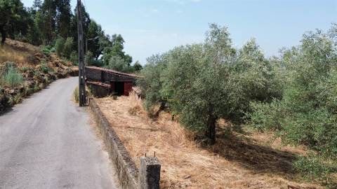 Terreno rústico nas Aranhas