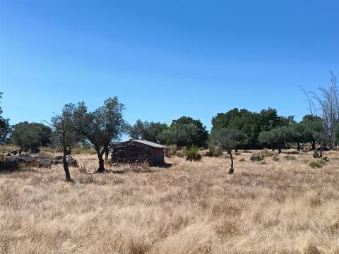 Quinta em Penamacor