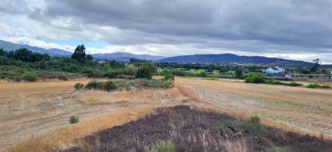 Quinta com 46.000 m² – Água abundante, localização privilegiada e enorme potencial!