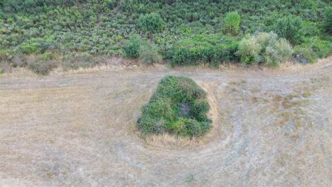 Quinta com 46.000 m² – Água abundante, localização privilegiada e enorme potencial!