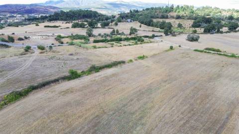 Quinta com 46.000 m² – Água abundante, localização privilegiada e enorme potencial!