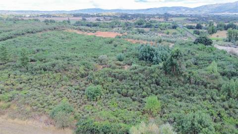 Quinta com 46.000 m² – Água abundante, localização privilegiada e enorme potencial!