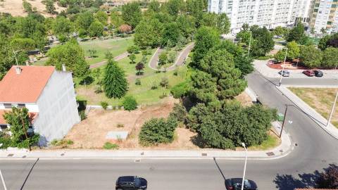 Terreno Para Construção  Venda em Castelo Branco,Castelo Branco